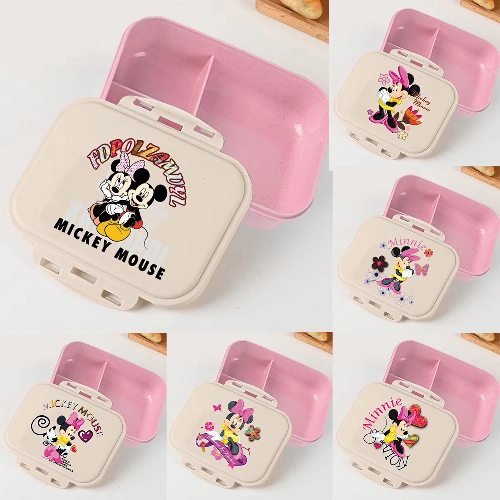 Minnie Mouse Pink Disney Carto - Food Storage Method reseña y precio