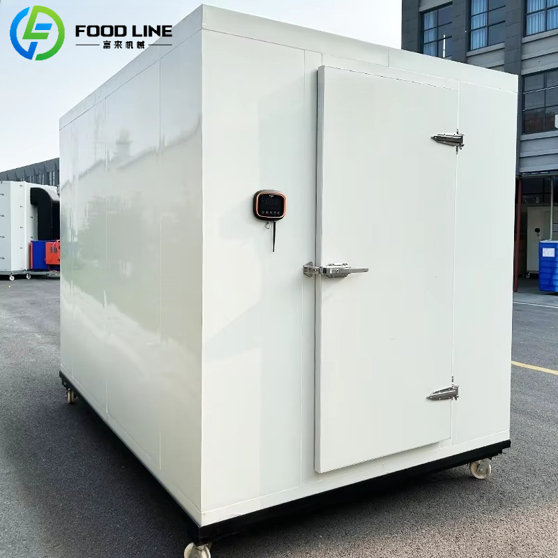 Custom Cold Food Storage Conta - Food Storage Freezer Containers reseña y precio