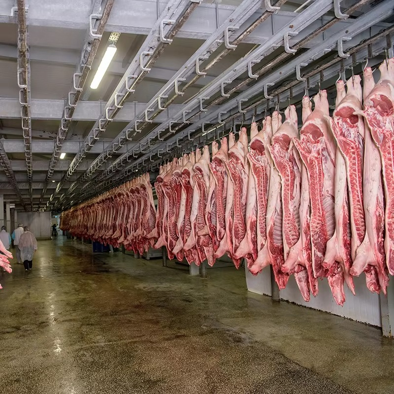 Cold Storage Room Slaughter Ho - Food Storage Room reseña y precio