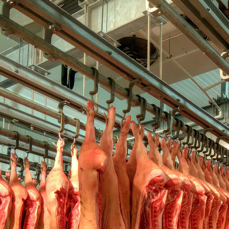 Cold Storage Room Slaughter Ho - Food Storage Room reseña y precio
