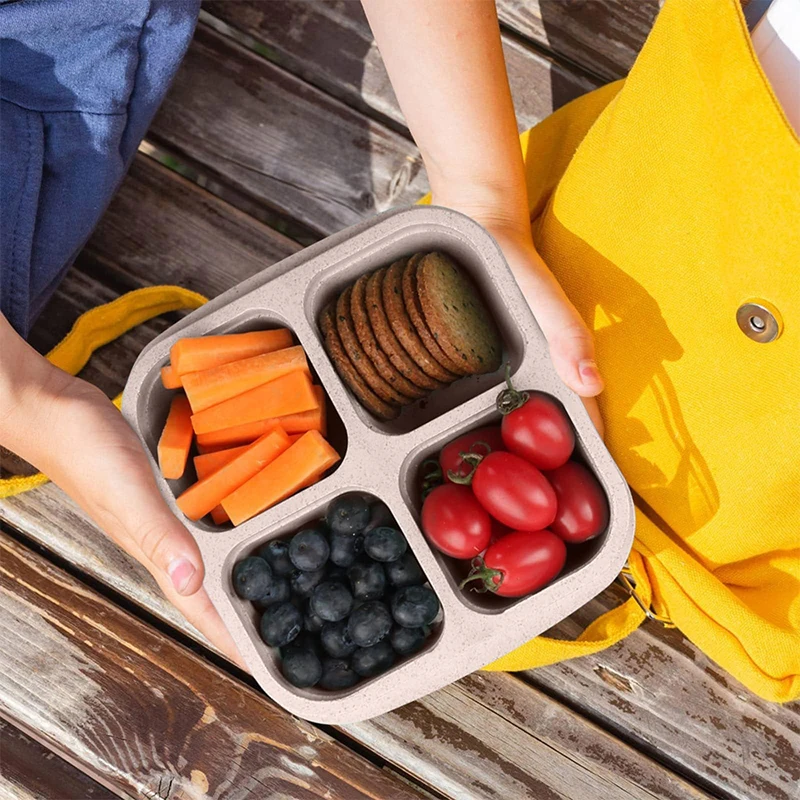 4 Grids Food Storage Box Porta - Food Storage Freezer Containers reseña y precio