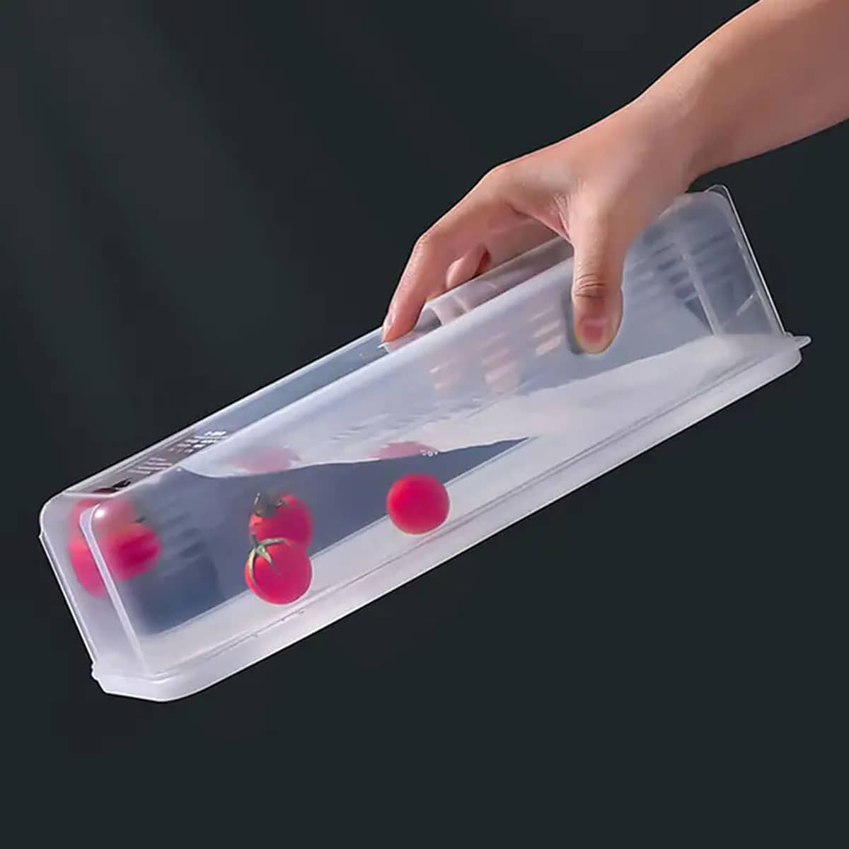 1 Plastic Transparent Storage  - Food Storage Freezer Containers reseña y precio